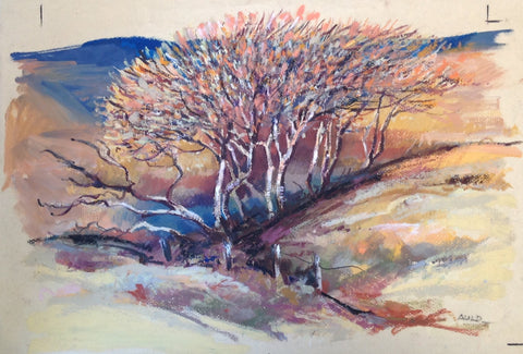 Glencallater