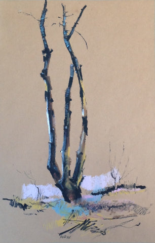 Burnt Birch