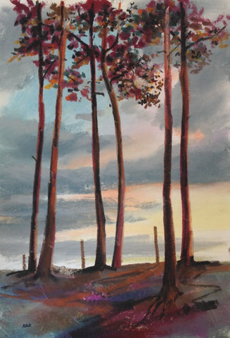 Autumn Trees at Dusk